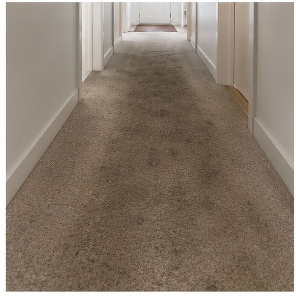 Melbourne hallway traffic lane before cleaning